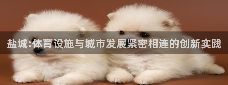 意昂体育4官方客服电话：盐城:体育设施与城市发展紧密