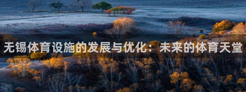 德国意昂4集团：无锡体育设施的发展与优化：未来的体育