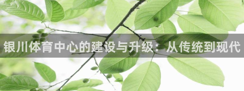 意昂4娱乐：银川体育中心的建设与升级：从传统到现代