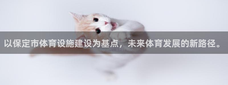 意昂4娱乐下载：以保定市体育设施建设为基点，未来体育