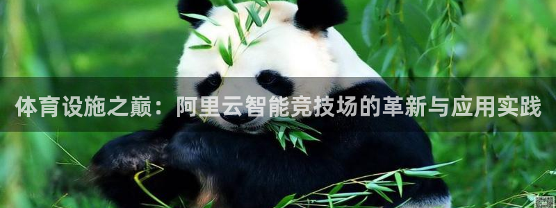 意昂4集团：体育设施之巅：阿里云智能竞技场的革新与应