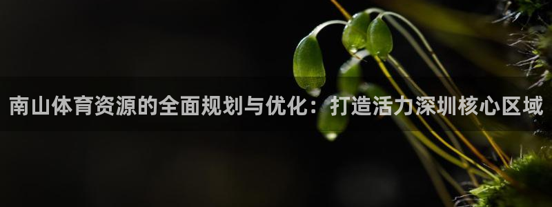 意昂体育4招商电话地址查询：南山体育资源的全面规划与