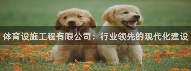 意昂体育4软件：体育设施工程有限公司：行业领先的现代