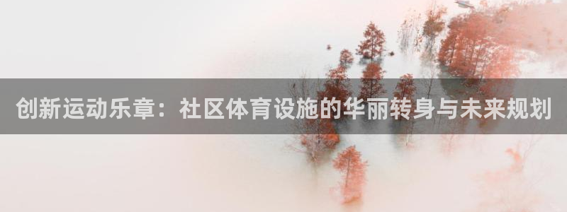 意昂4代理：创新运动乐章：社区体育设施的华丽转身与未