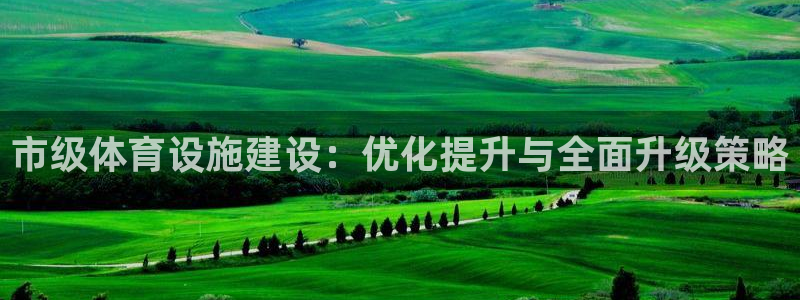 意昂体育4是干嘛的公司：市级体育设施建设：优化提升与