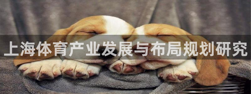 意昂4集团简介：上海体育产业发展与布局规划研究