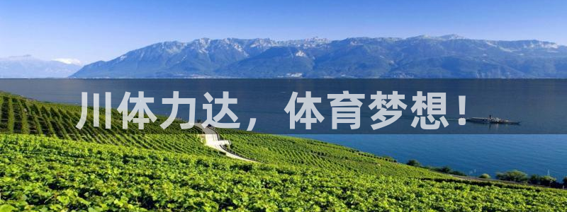 意昂4娱乐平台：川体力达，体育梦想！