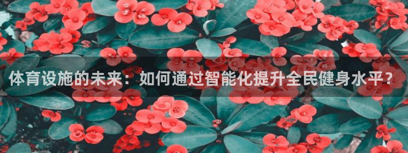 意昂4神州：体育设施的未来：如何通过智能化提升全民健