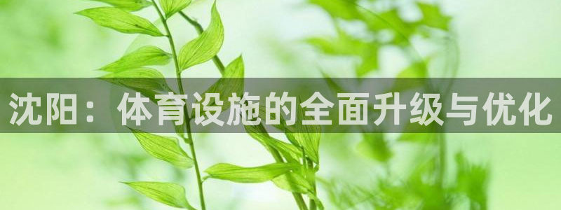 意昂4娱乐首页官网下载：沈阳：体育设施的全面升级与优