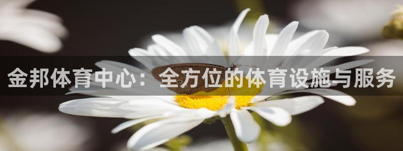 意昂体育4招商电话：金邦体育中心：全方位的体育设施与