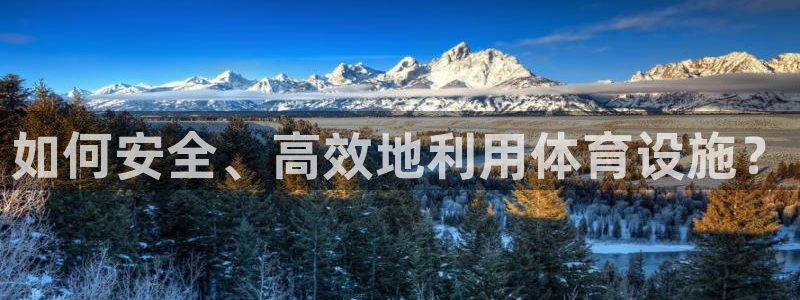 意昂4娱乐下载：如何安全、高效地利用体育设施？