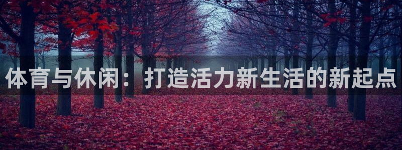 德国意昂4集团：体育与休闲：打造活力新生活的新起点
