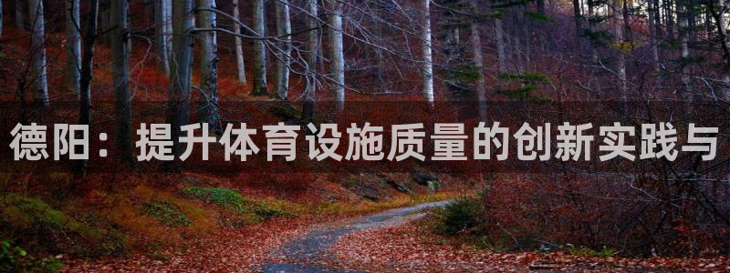 意昂体育4是干嘛的公司：德阳：提升体育设施质量的创新