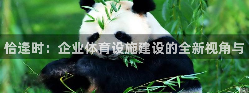 意昂体育4招商电话号码查询是多少：恰逢时：企业体育设