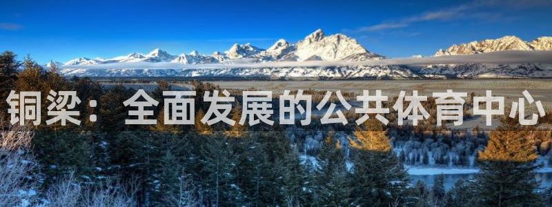 意昂4娱乐平台：铜梁：全面发展的公共体育中心