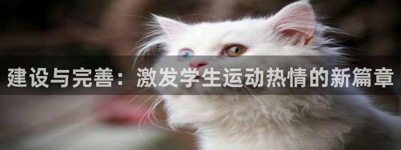 意昂4集团官网网址：建设与完善：激发学生运动热情的新