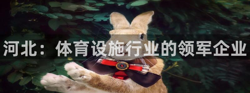 意昂体育4招商电话是多少：河北：体育设施行业的领军企