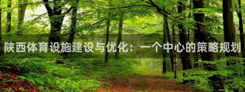 意昂4官方：陕西体育设施建设与优化：一个中心的策略规