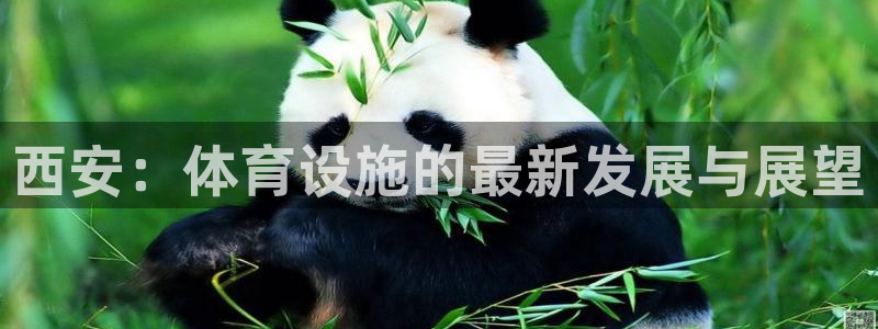 意昂4娱乐下载：西安：体育设施的最新发展与展望