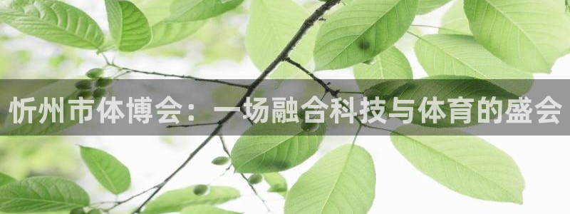 意昂4娱乐代理怎么样：忻州市体博会：一场融合科技与体