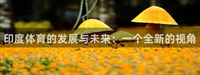 意昂4神州：印度体育的发展与未来：一个全新的视角