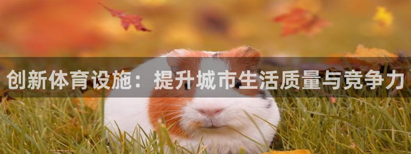 意昂体育4平台注册流程图：创新体育设施：提升城市生活