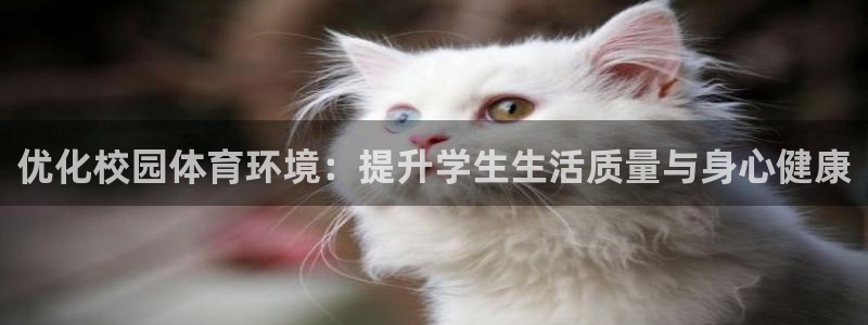 意昂4娱乐下载：优化校园体育环境：提升学生生活质量与