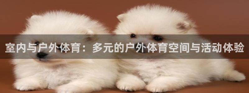 意昂体育4注册：室内与户外体育：多元的户外体育空间与