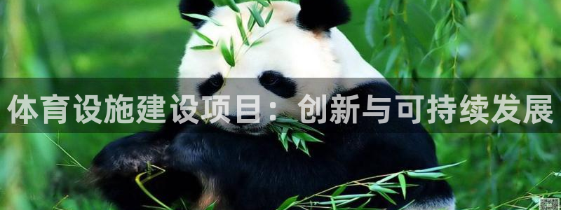 意昂体育4平台是正规平台吗：体育设施建设项目：创新与