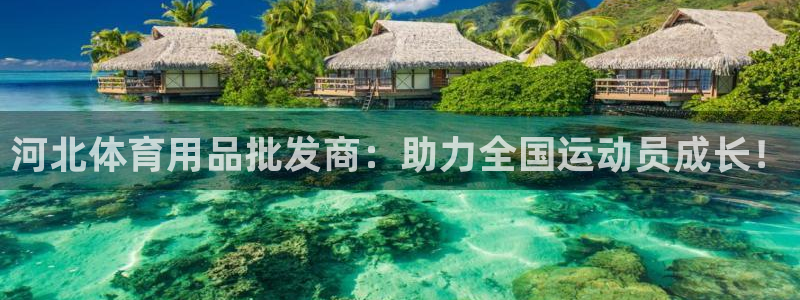 意昂4新能源：河北体育用品批发商：助力全国运动员成长