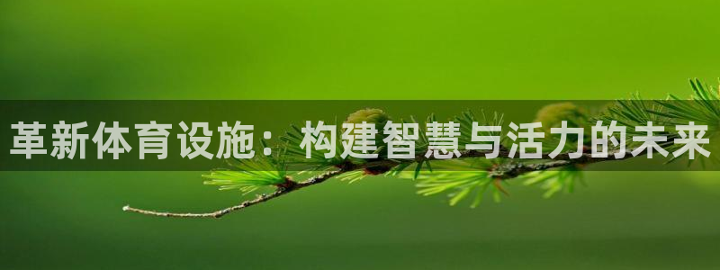 意昂平台体育：革新体育设施：构建智慧与活力的未来