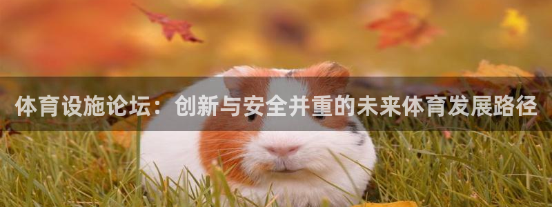 意昂4娱乐首页官网下载：体育设施论坛：创新与安全并重