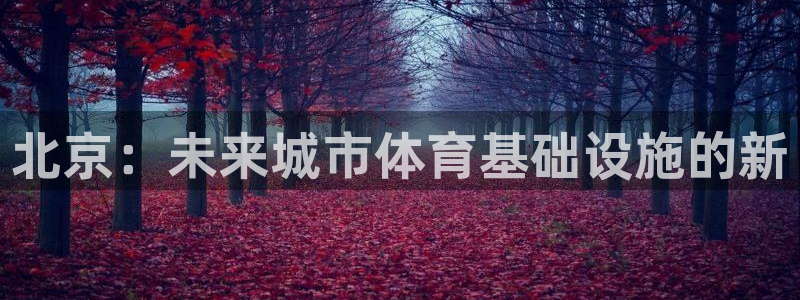 海南意昂体育4：北京：未来城市体育基础设施的新