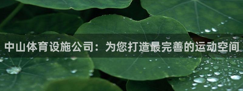 意昂体育4开户：中山体育设施公司：为您打造最完善的运