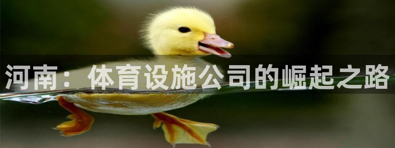 德国意昂4集团：河南：体育设施公司的崛起之路