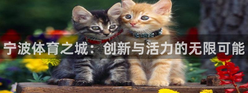 意昂体育4招商电话是多少啊：宁波体育之城：创新与活力