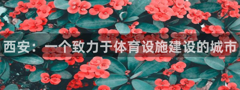 意昂体育4官方客服电话：西安：一个致力于体育设施建设