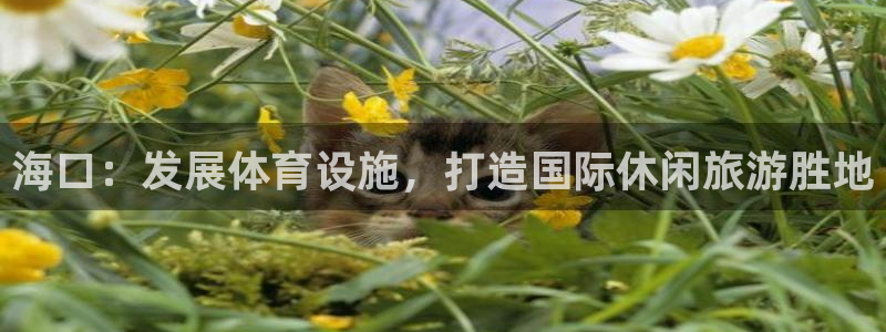 意昂4集团官网首页：海口：发展体育设施，打造国际休闲