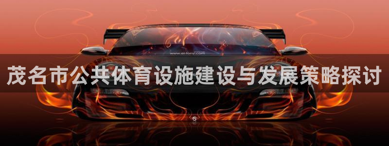 意昂4集团官网首页：茂名市公共体育设施建设与发展策略