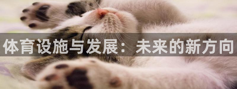 意昂4娱乐代理怎么样：体育设施与发展：未来的新方向