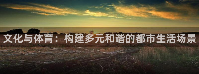 海南意昂体育4发展怎么样：文化与体育：构建多元和谐的