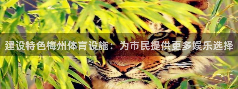 意昂体育4平台是正规平台吗安全吗：建设特色梅州体育设