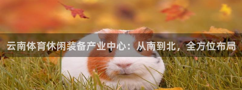 意昂体育4招商：云南体育休闲装备产业中心：从南到北，
