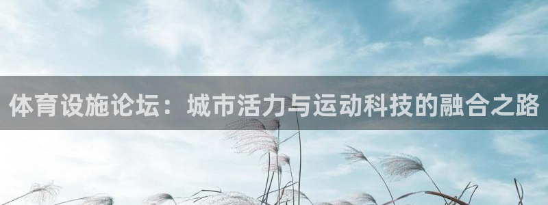 意昂体育4平台假的吗是真的吗吗：体育设施论坛：城市活