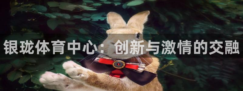 意昂体育4：银珑体育中心：创新与激情的交融