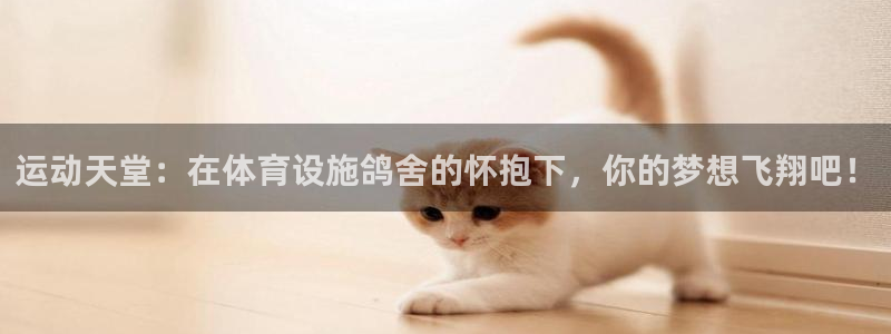 意昂4娱乐平台：运动天堂：在体育设施鸽舍的怀抱下，你