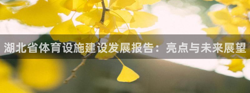 意昂体育4平台：湖北省体育设施建设发展报告：亮点与未