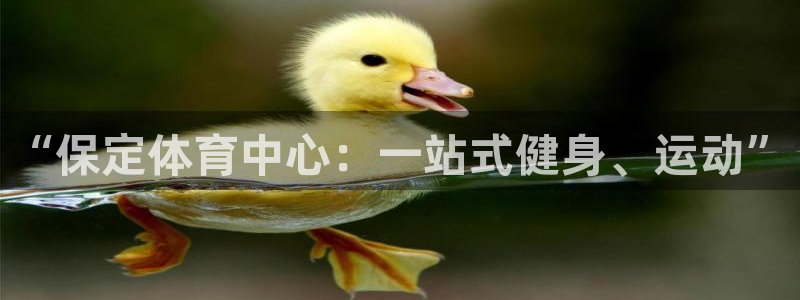 意昂平台体育：“保定体育中心：一站式健身、运动”
