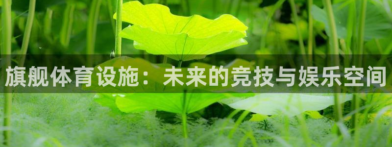 意昂体育4软件：旗舰体育设施：未来的竞技与娱乐空间