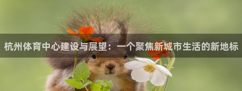 意昂体育4平台是正规平台吗安全吗：杭州体育中心建设与